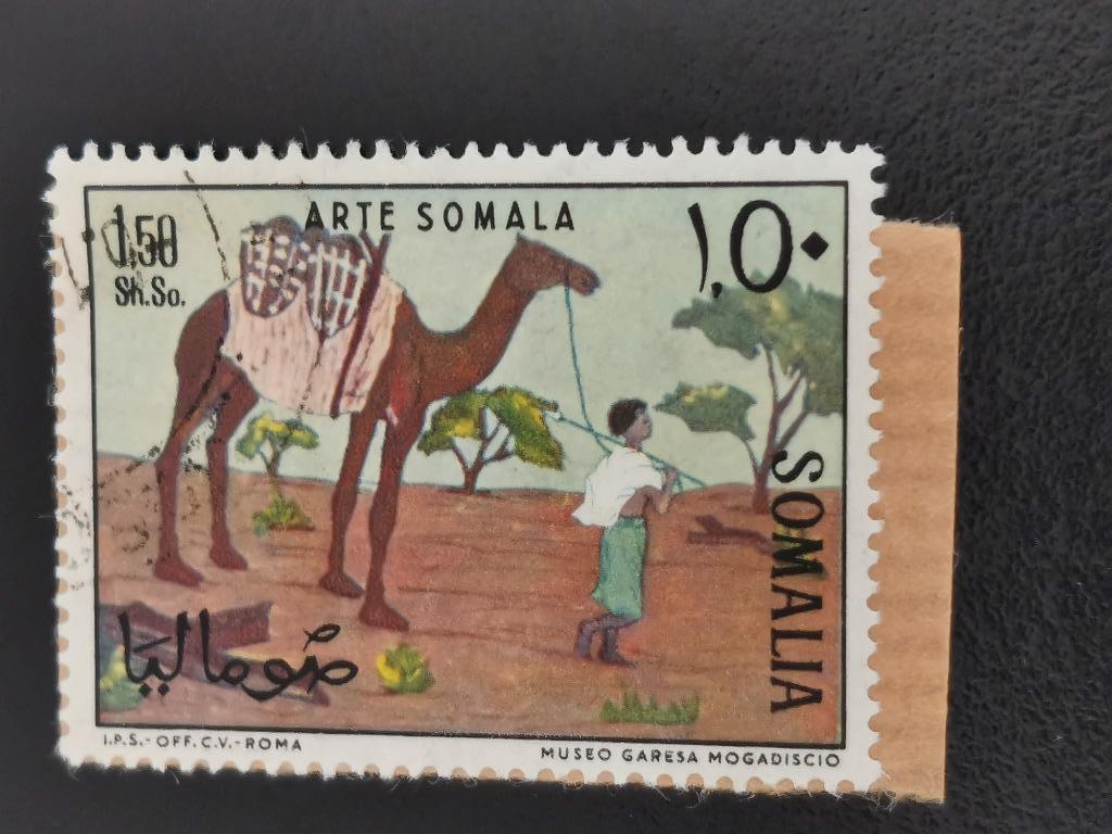 Somalie 1966 - peinture - chameau - animaux (sur fragment), Enlèvement ou Envoi, Autres pays, Affranchi