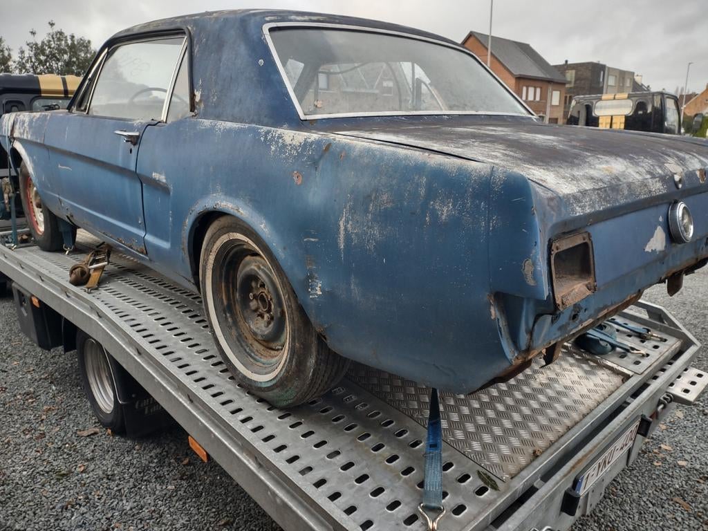 Ford Mustang Coupe 1966, foto 3