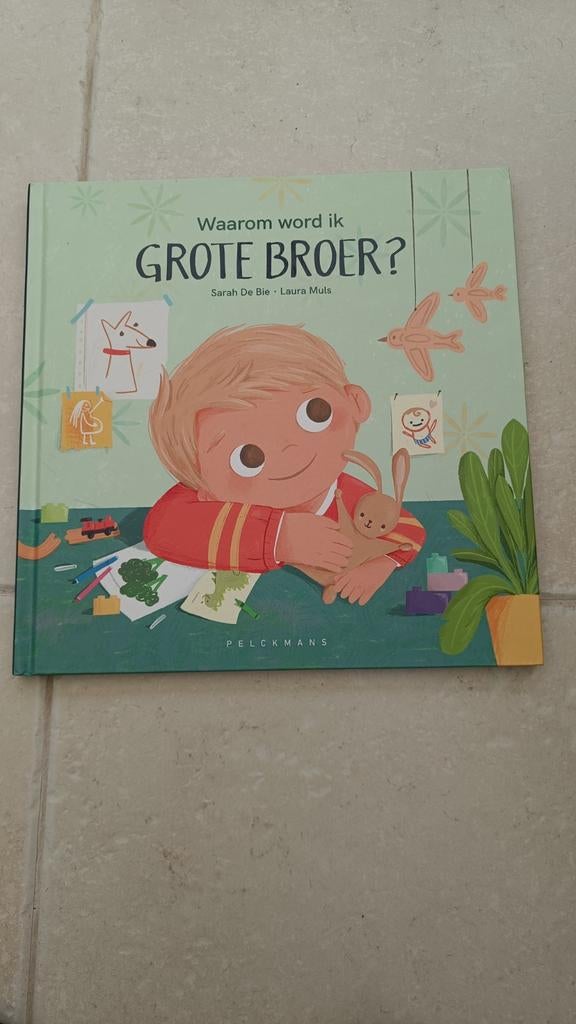 Sarah De Bie - Waarom word ik grote broer?, Ophalen of Verzenden, Zo goed als nieuw, Sarah De Bie, Prentenboek