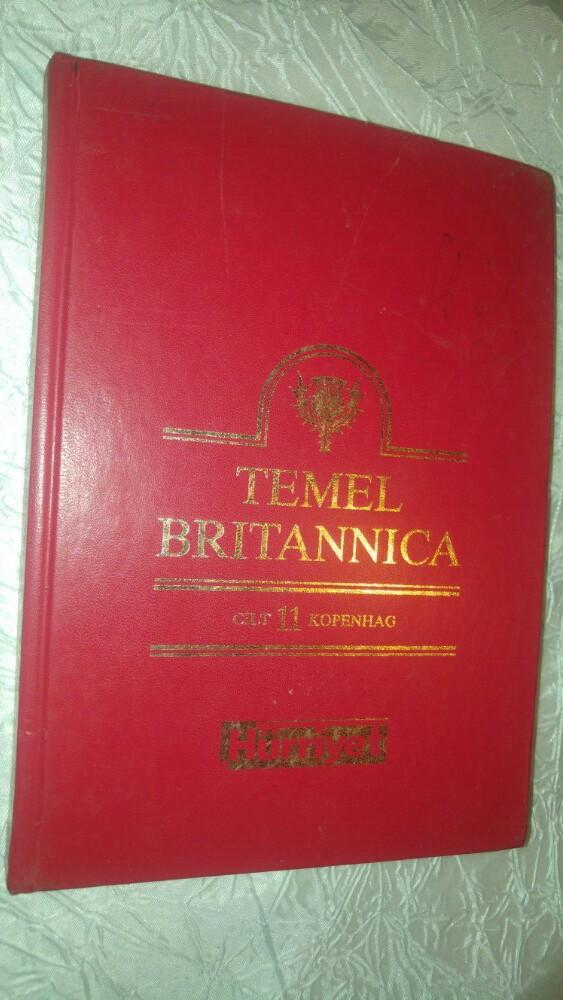 Livre turc Temel Britannica cilt 11 Hurriyet istanbul 1993, Enlèvement ou Envoi, Comme neuf