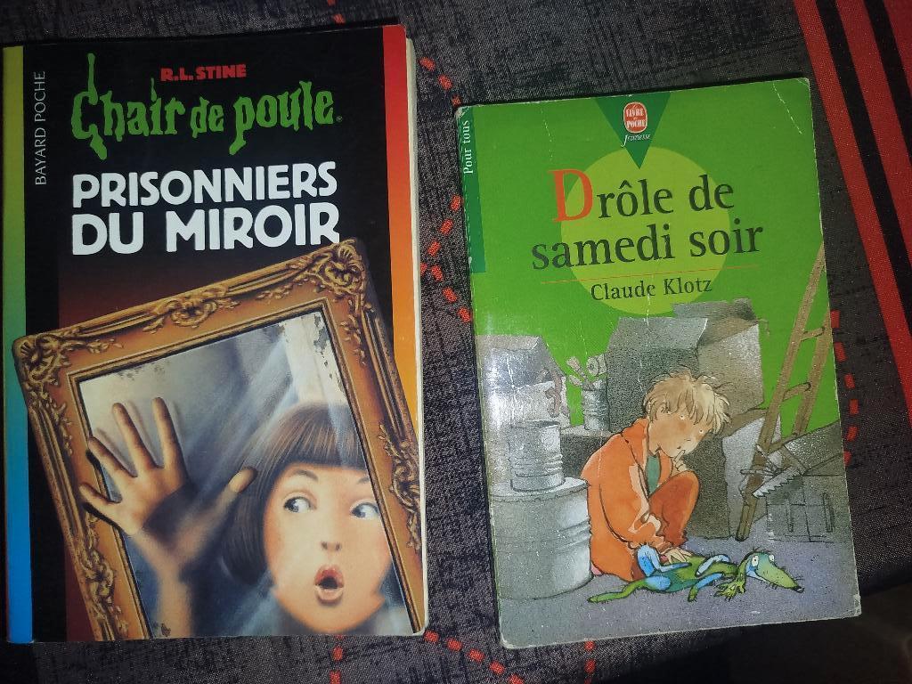 Livre scolaire, Boeken, Schoolboeken, Ophalen of Verzenden, Zo goed als nieuw, Fries