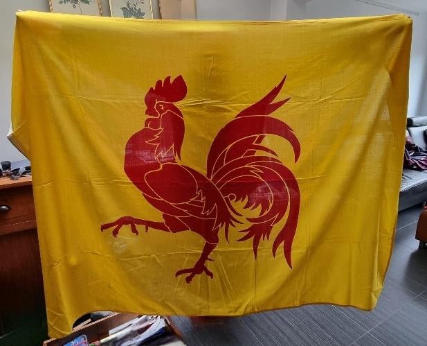 Drapeau coq wallon 1,40 x 2,00 m, Enlèvement ou Envoi, Neuf