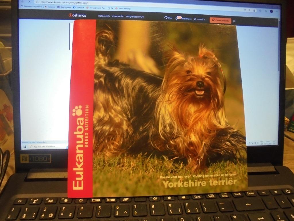 Yorkshire terrier, Ophalen of Verzenden, Zo goed als nieuw, Honden