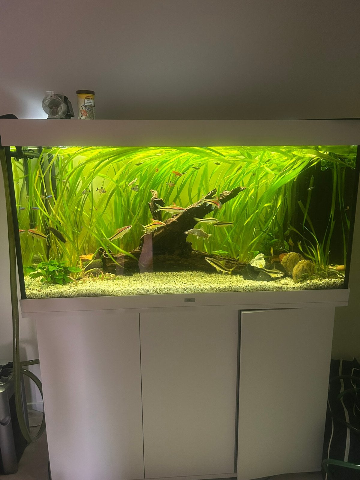 Juwel rio 350, Comme neuf, Enlèvement, Chauffage, Juwel