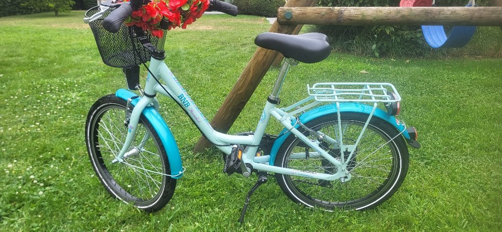 Meisjesfiets BNB 20 inch, Vélos & Vélomoteurs, Vitesses, Utilisé, BNB Bike, Frein à disque