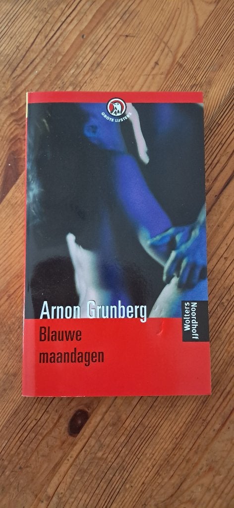 Boek roman 'Blauwe maandagen', Ophalen, België, Zo goed als nieuw, Arnon Grunberg