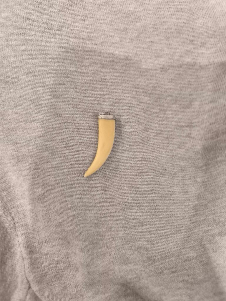 Tand of ivoor met zilveren hanger, Ophalen, Zo goed als nieuw, Wit, Zilver