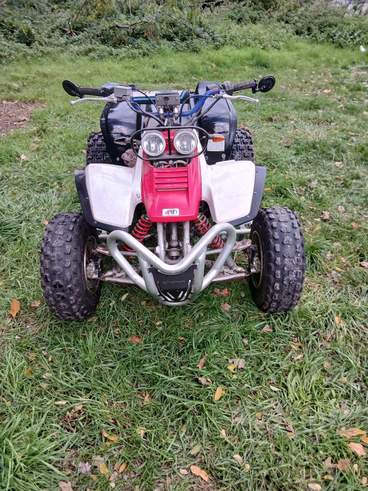 Yamaha Warrior 350, 1 cilinder, 350 cc