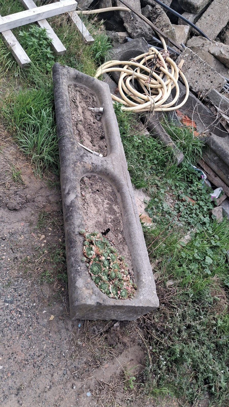 koppel arduinen bakken met neus, Ophalen, Steen, Gebruikt, 100 cm of meer