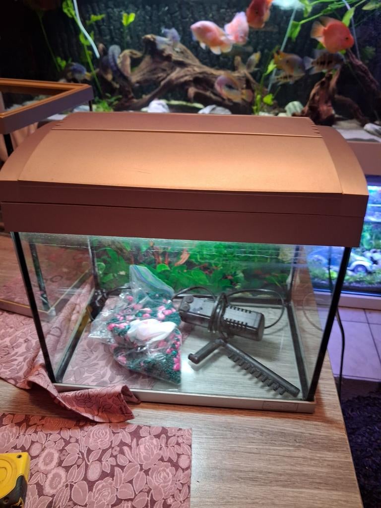 Petit aquarium avec filtre gravier et lampe intégré 35/29/24, Enlèvement, Pompe