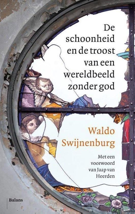 Te Koop Boek De schoonheid en de troost Waldo Swijnenburg, Boeken, Filosofie, Ophalen of Verzenden, Zo goed als nieuw, Cultuurfilosofie