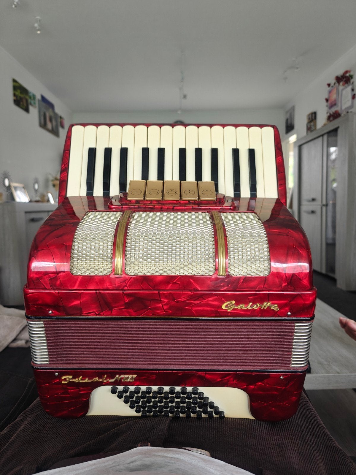 Galotta Ideal III, Musique & Instruments, Accordéons, Enlèvement ou Envoi, Accordéon à boutons