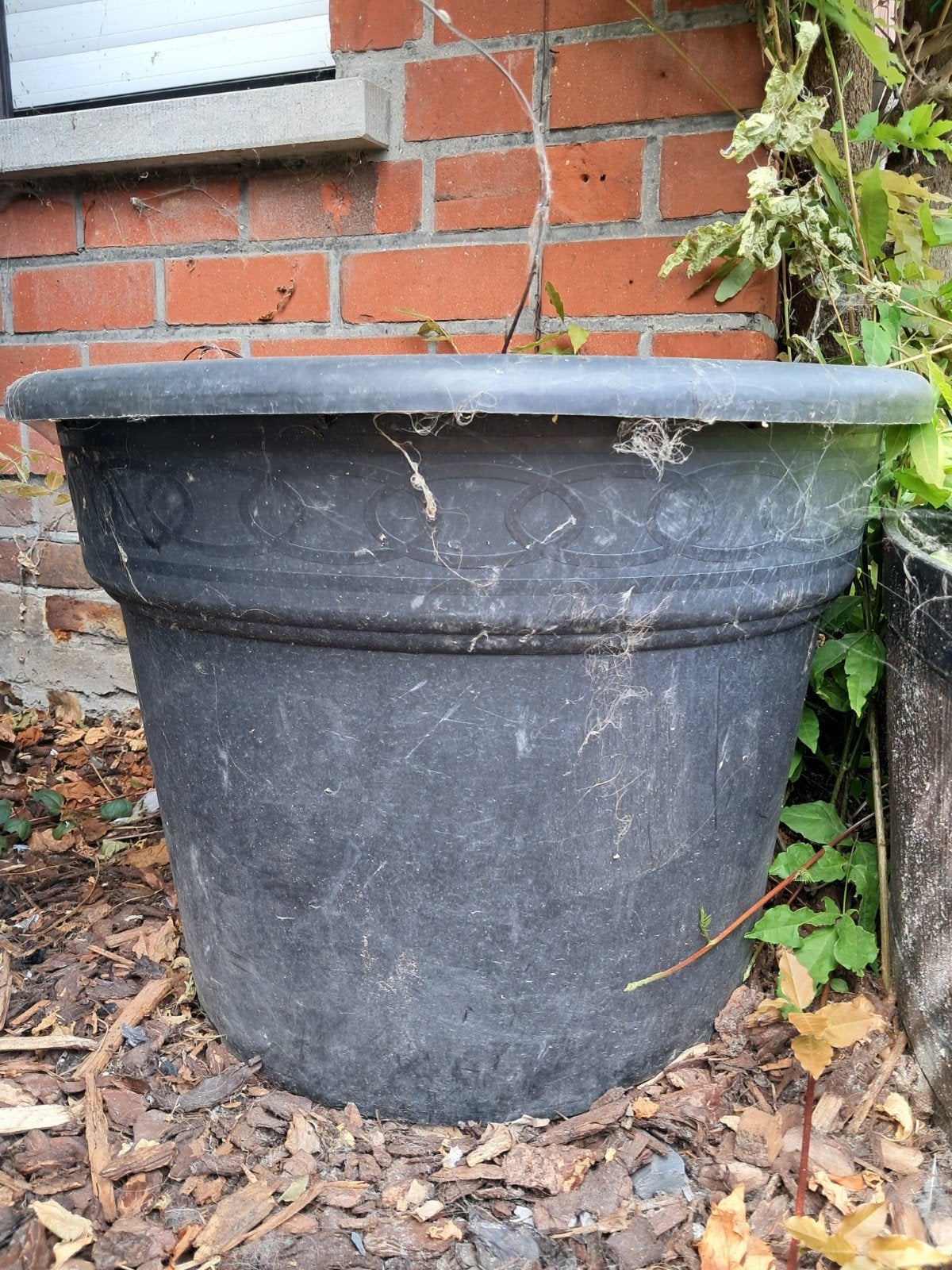 Bloempot zwart, Tuin en Terras, Bloembakken en Plantenbakken, Ophalen