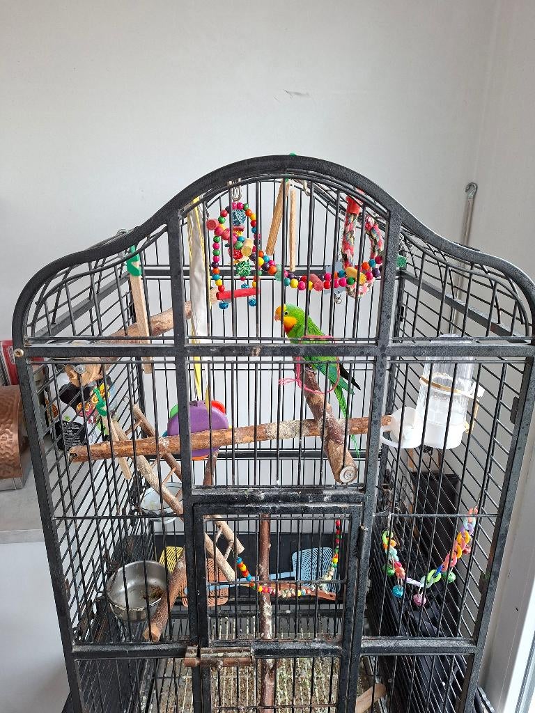 A vendre, Ophalen