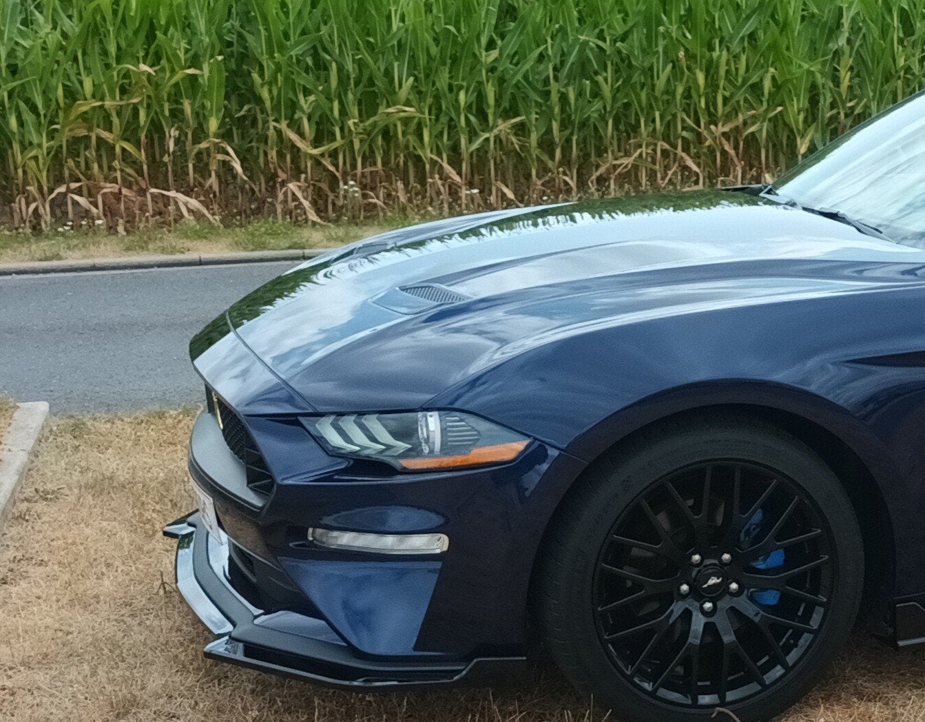 Lèvre de pare-chocs pour Mustang 2018-2020, Enlèvement, Comme neuf