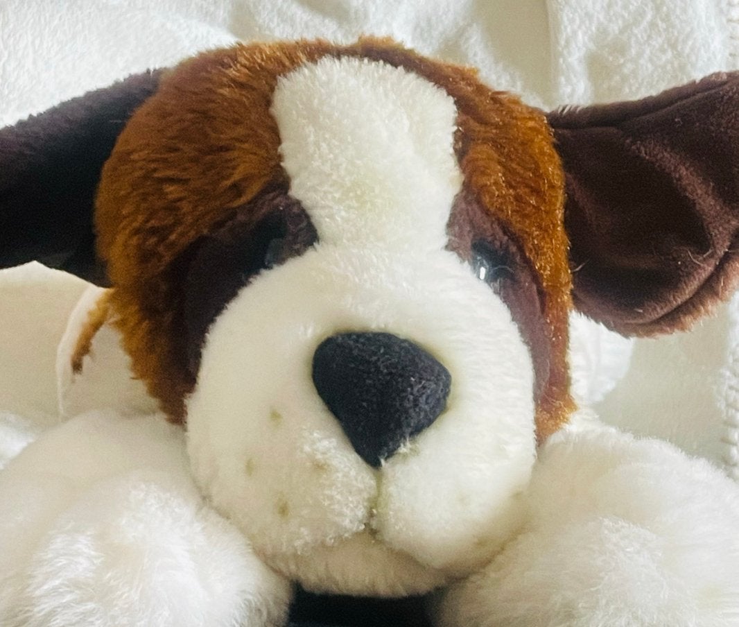 Peluche Saint Bernard, Enfants & Bébés, Chien, Moyen (20 à 80 cm), Utilisé, Envoi