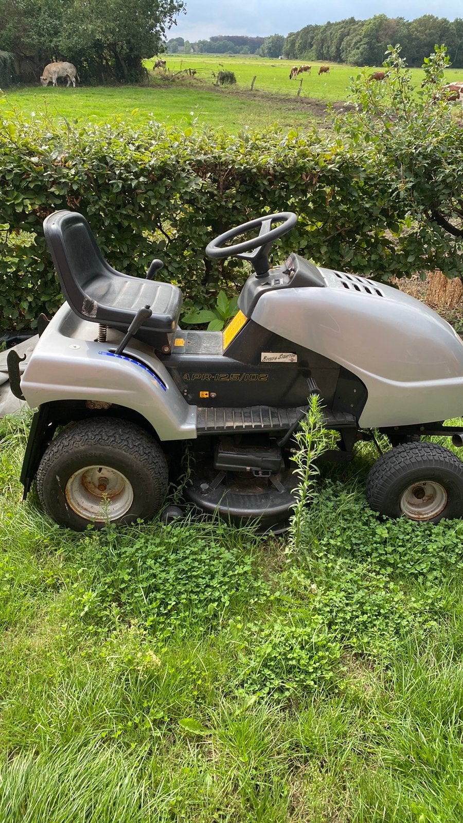 Dino APR-12,5/102, Ophalen, Gebruikt, Elektrische starter, 90 tot 120 cm