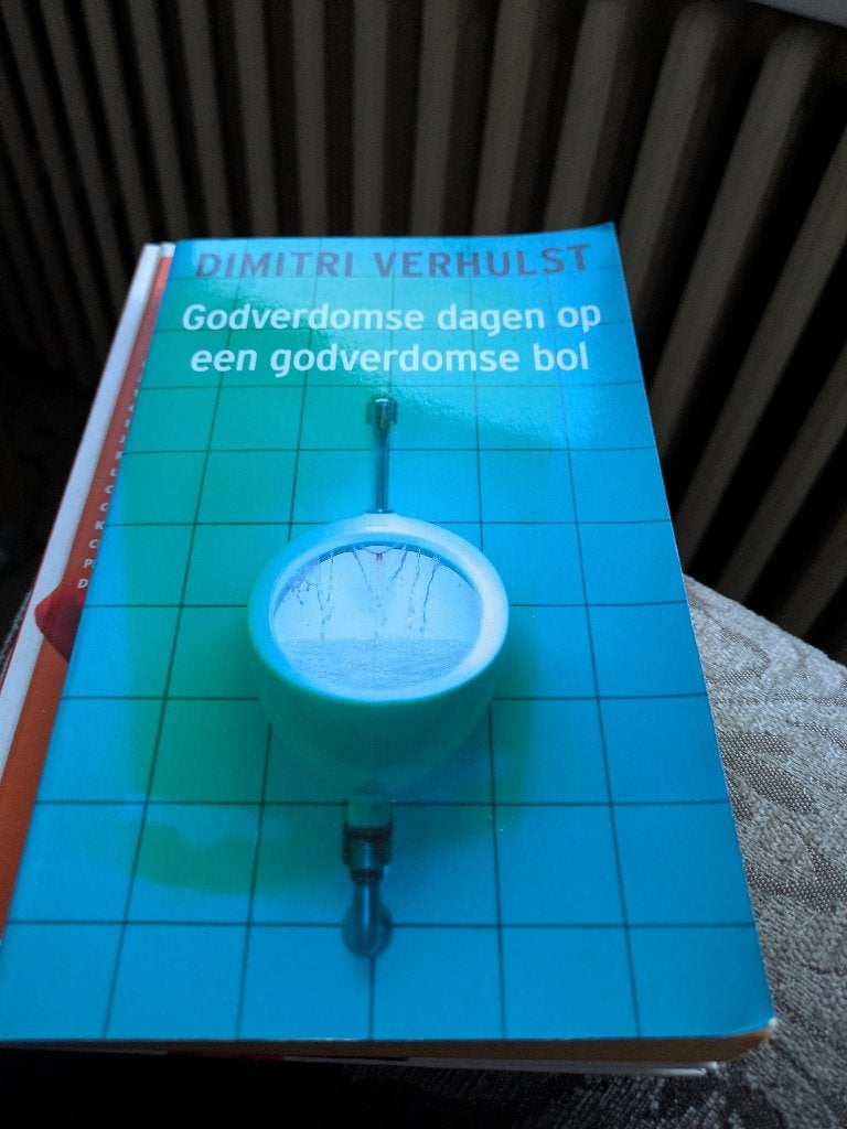 Godverdomse dagen op een godverdomse bol, Ophalen of Verzenden, Zo goed als nieuw
