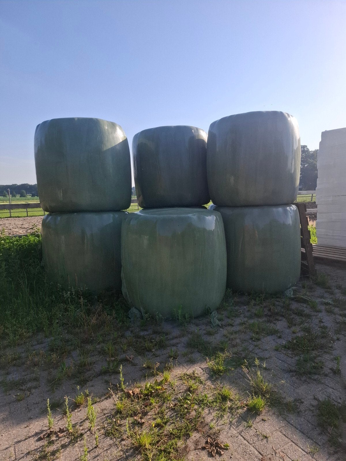 9 balen voordroog juni 2026 geperst in balen, Dieren en Toebehoren, Ophalen