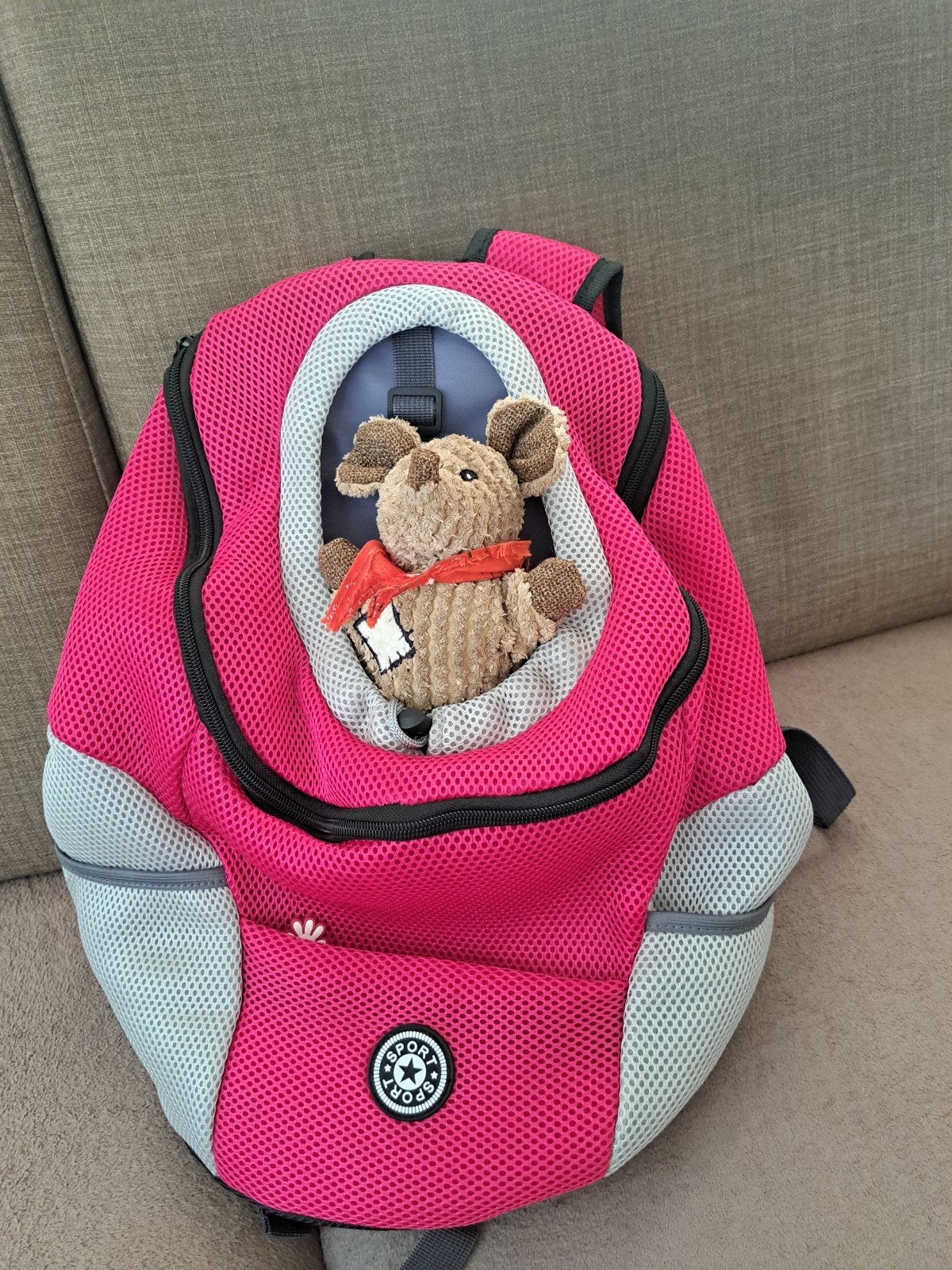 Puppy draagzak honden, Dieren en Toebehoren, Honden-accessoires, Ophalen, Nieuw, Draagtas/-zak