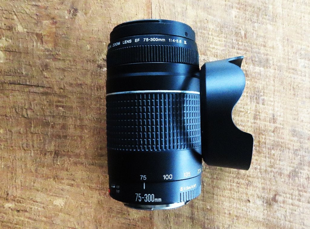 Canon zoom lens 75-300 krasvrij !, Zoom, Téléobjectif, Comme neuf, Canon EF-S