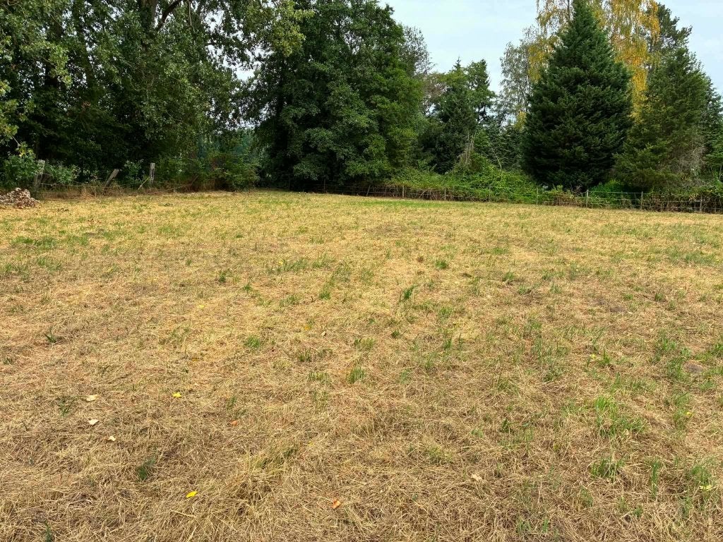 weiland 2 hectare te koop, Weidegang, 4 paarden of pony's of meer