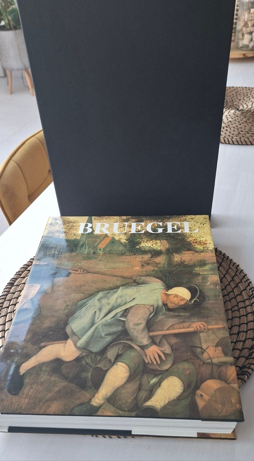 Bruegel kunstboek, Boeken, Ophalen