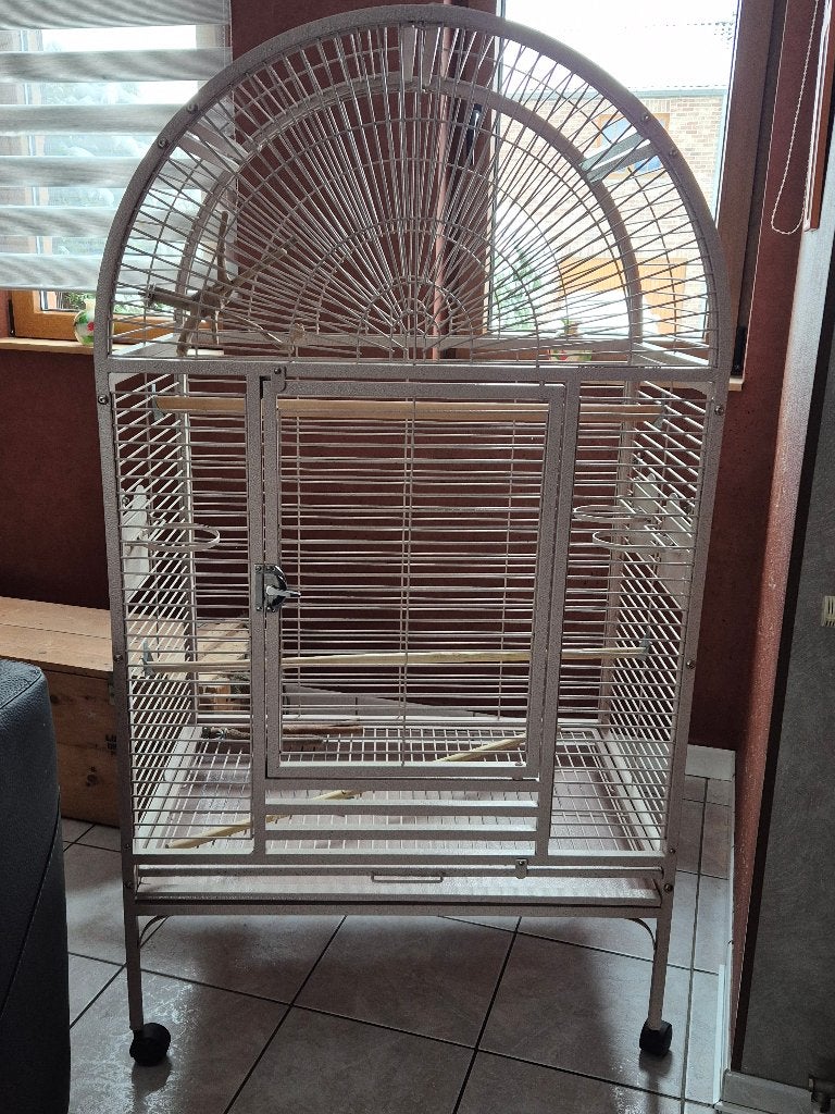 cage perroquet, Enlèvement, Utilisé, Métal, Cage à oiseaux