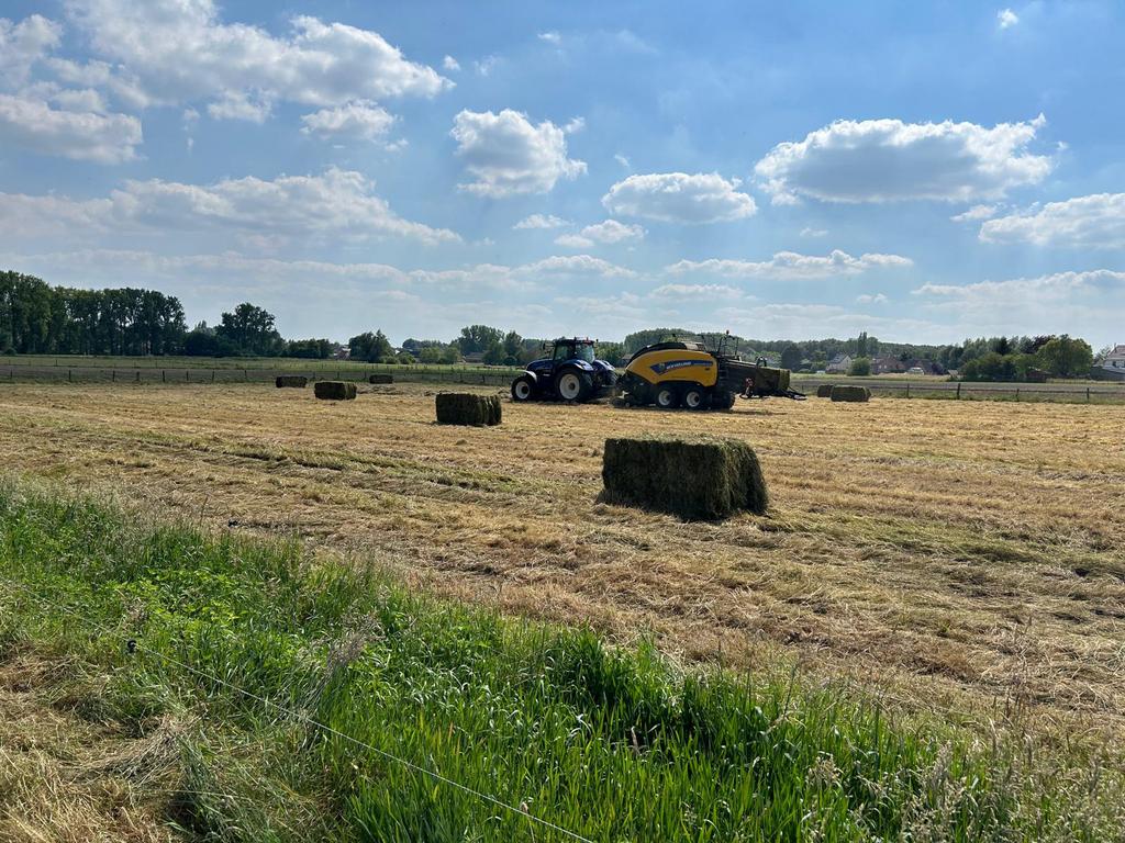 Grote pakken hooi, Dieren en Toebehoren, Ophalen