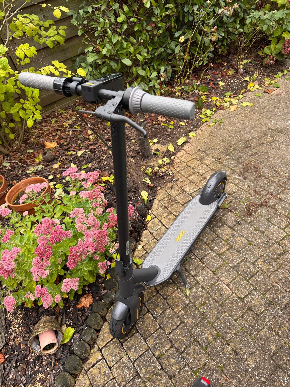 Segway by ninebot g30 max, Enlèvement, Comme neuf, Step électrique (E-scooter)