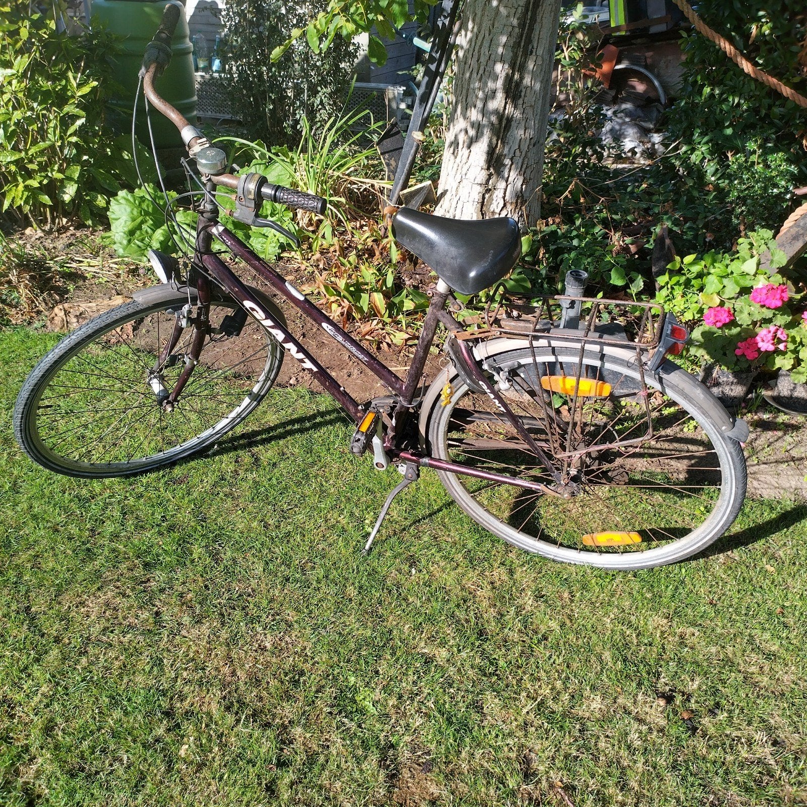 damesfiets Giant squadron, Ophalen