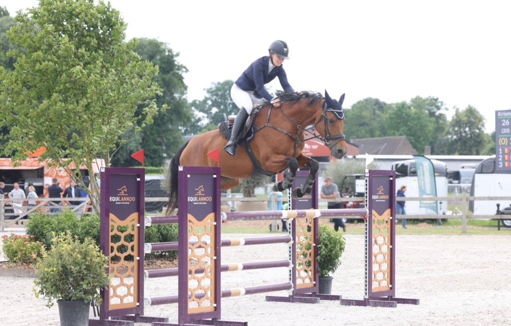 Spring paard, Animaux & Accessoires, Chevaux, M, Avec pedigree, 160 à 165 cm, Cheval de saut