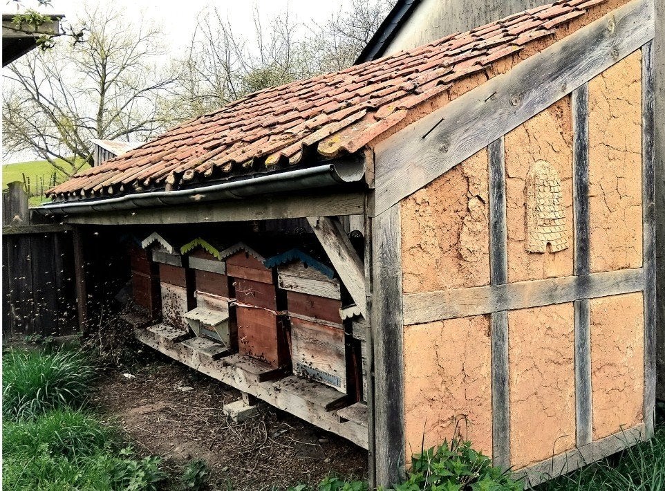 colonie d'abeilles, Enlèvement, Autres types