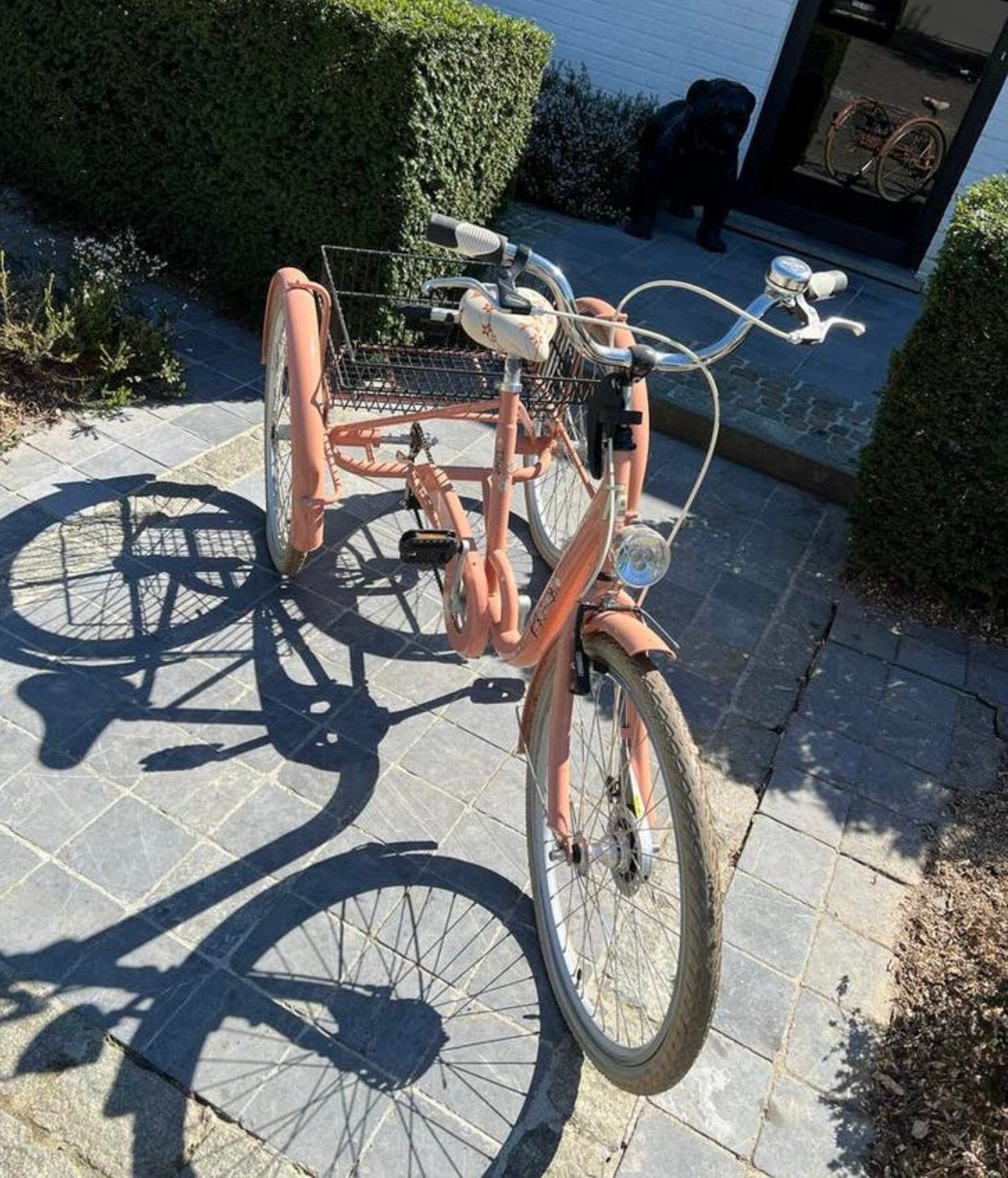 Driewieler NIEUWSTAAT, Fietsen en Brommers, Fietsen | Driewielfietsen, Ophalen, Zo goed als nieuw