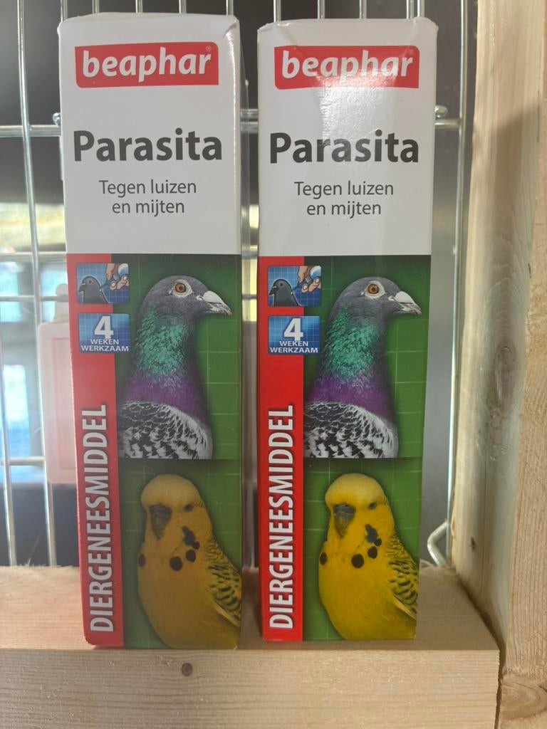 Parasita, Dieren en Toebehoren, Vogels | Parkieten en Papegaaien