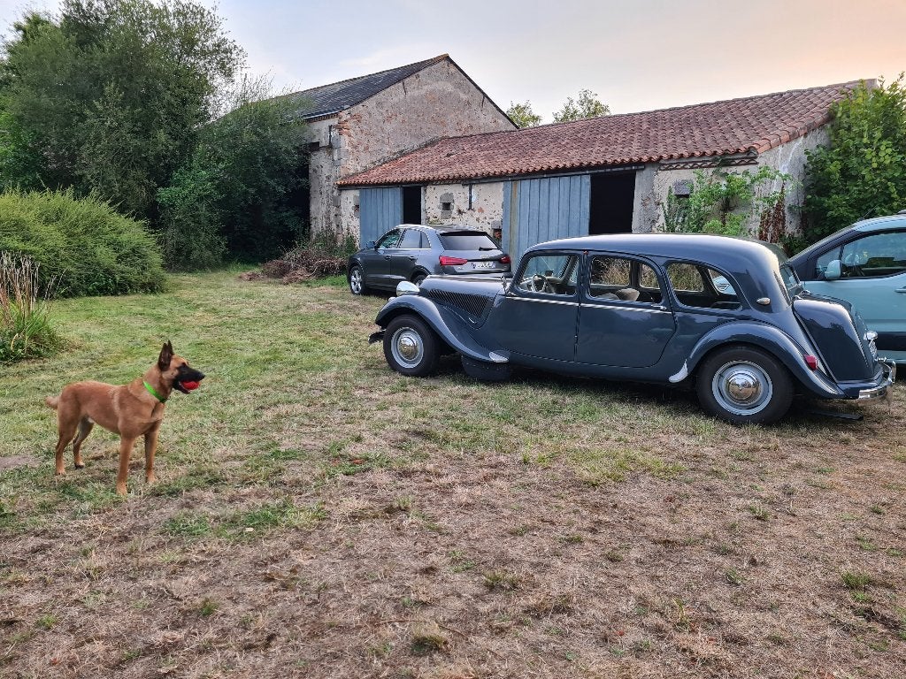 Citroen Traction 15 Familiale — Uitzonderlijke catering, Auto's, Voorwielaandrijving, Overige modellen, 9 zetels, Particulier