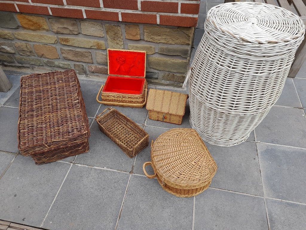 osier, Enlèvement, Osier