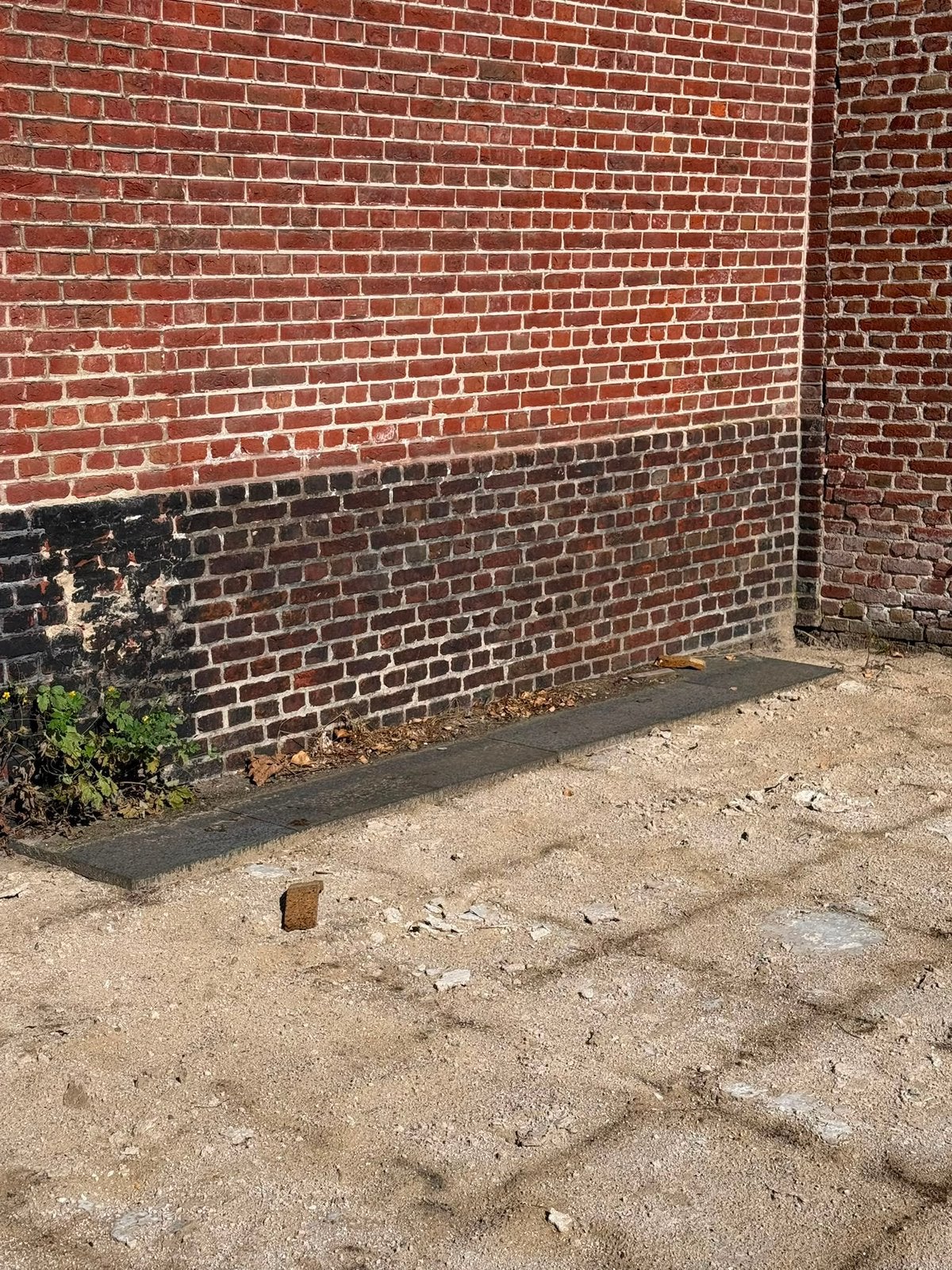 6 extra tegels gratis af te halen, Tuin en Terras, Ophalen, Gebruikt, Terrastegels