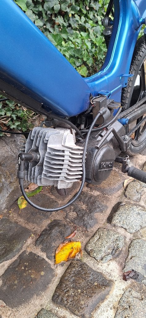 tomos, Ophalen, 65 cc, Quadro, Klasse B (45 km/u)