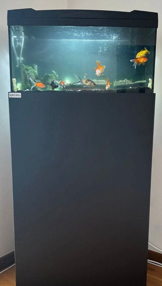 Aquarium en toebehoren, Dieren en Toebehoren, Ophalen, Zo goed als nieuw, Decoratie