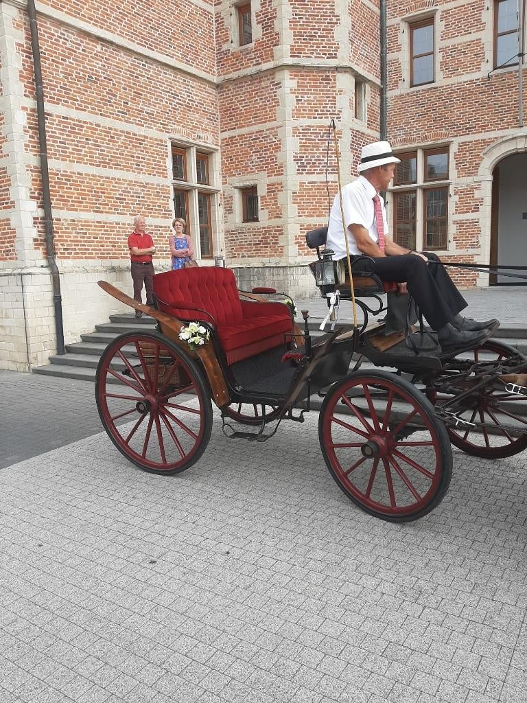 Victoriakoets, Dieren en Toebehoren, Stalling en Weidegang