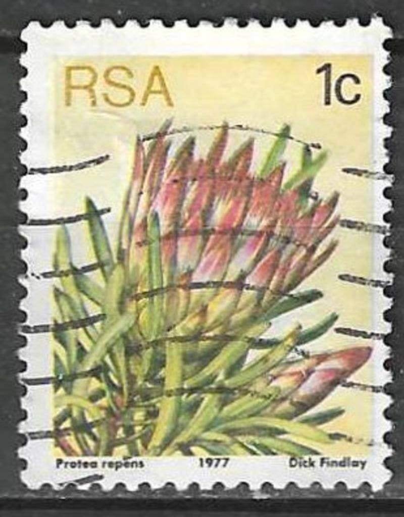 Zuid-Afrika 1977 - Yvert 416 - De echte suikerbos (ST), Postzegels en Munten, Verzenden, Zuid-Afrika, Gestempeld