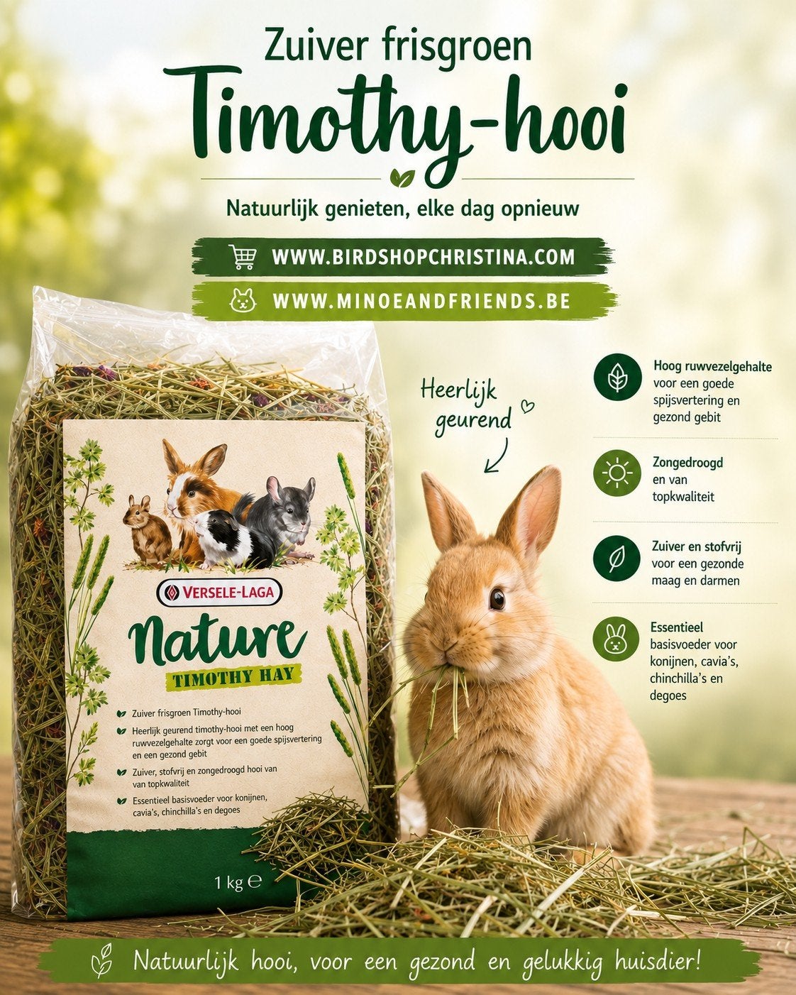Timothy Hay 1kg Sac à main, Animaux & Accessoires, Rongeurs & Lapins | Accessoires, Enlèvement
