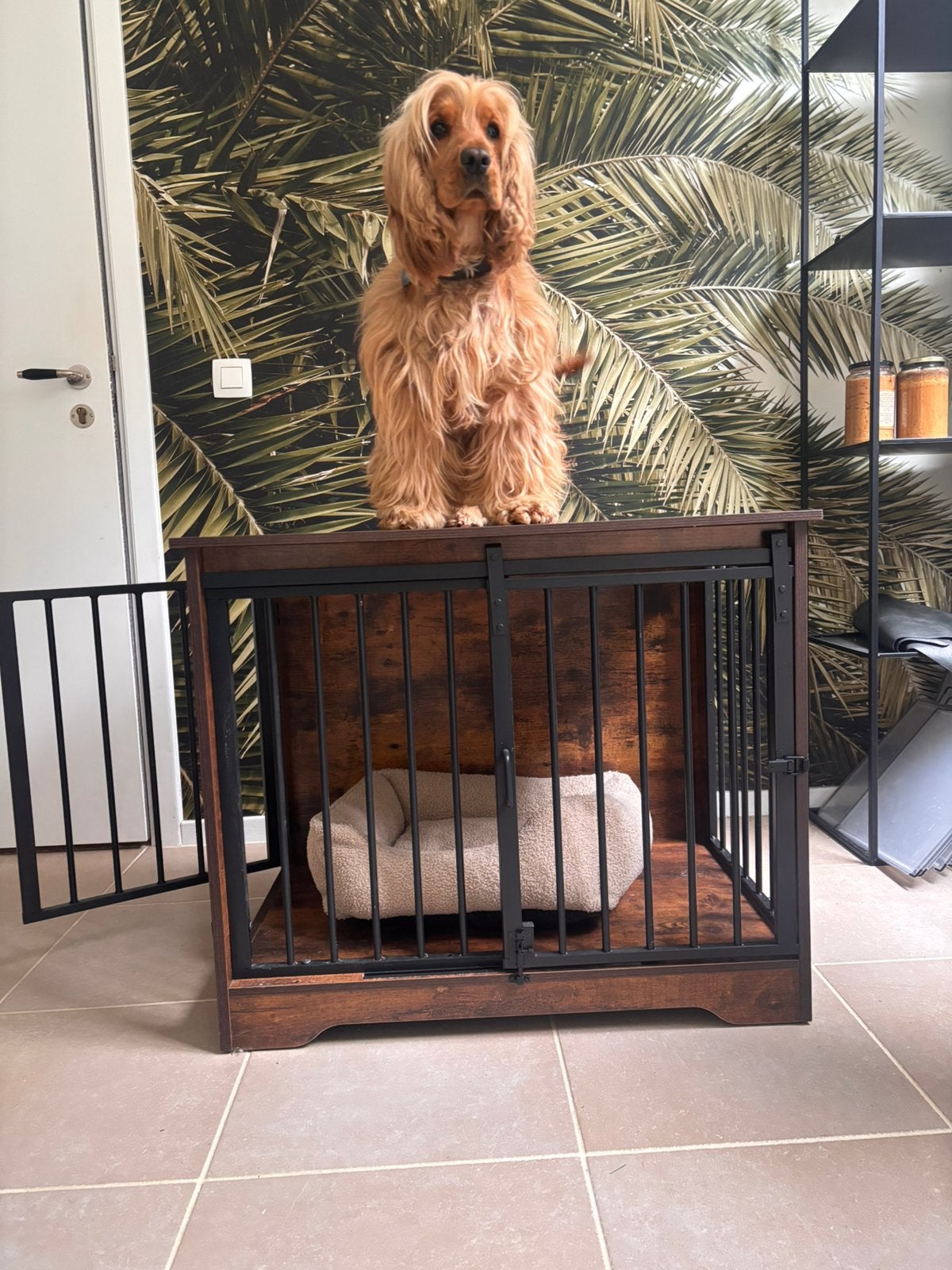 Meuble pour chien jamais servi mais déjà monté, Enlèvement, Comme neuf