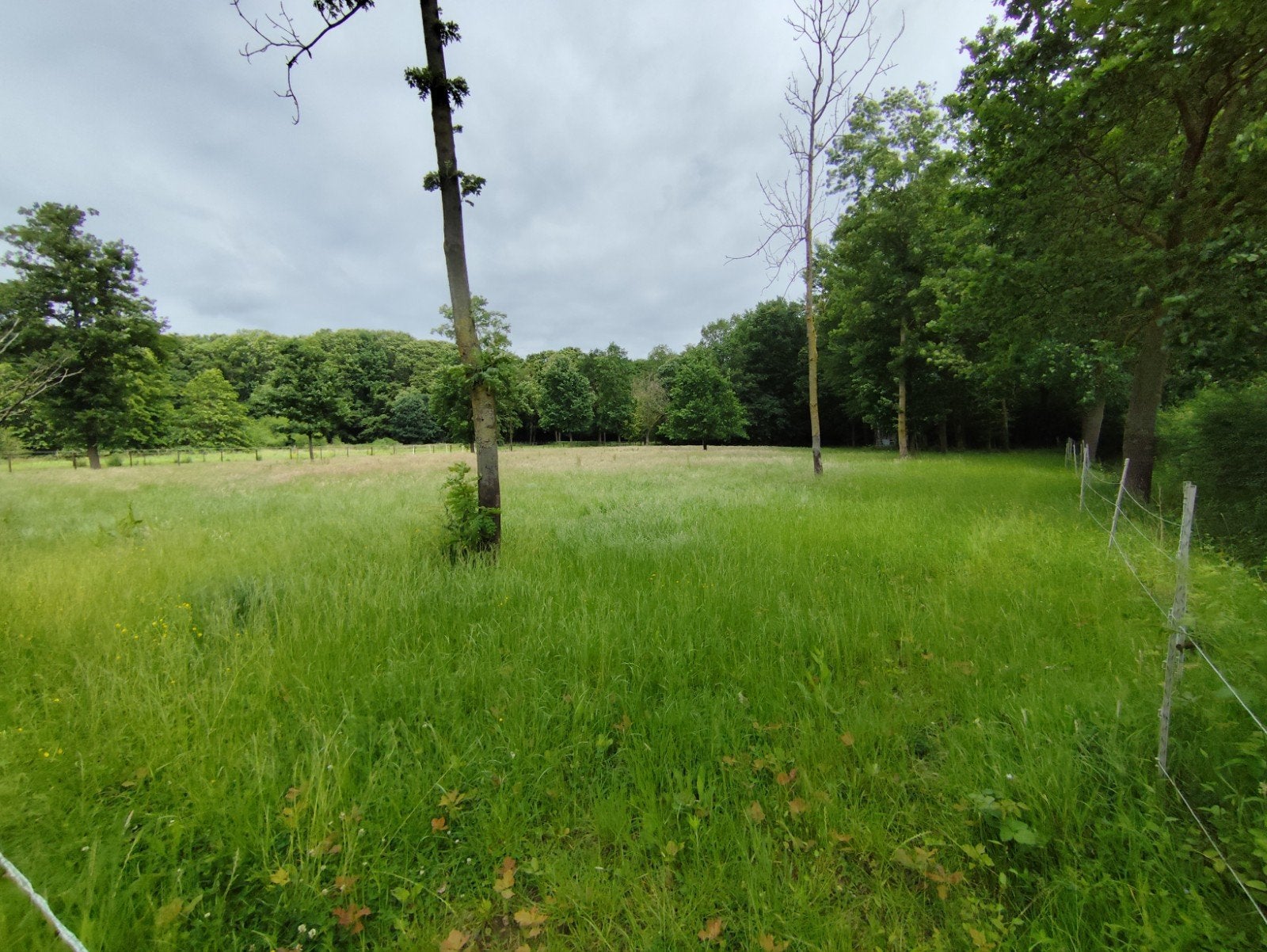 Weide te huur voor paarden, Ophalen