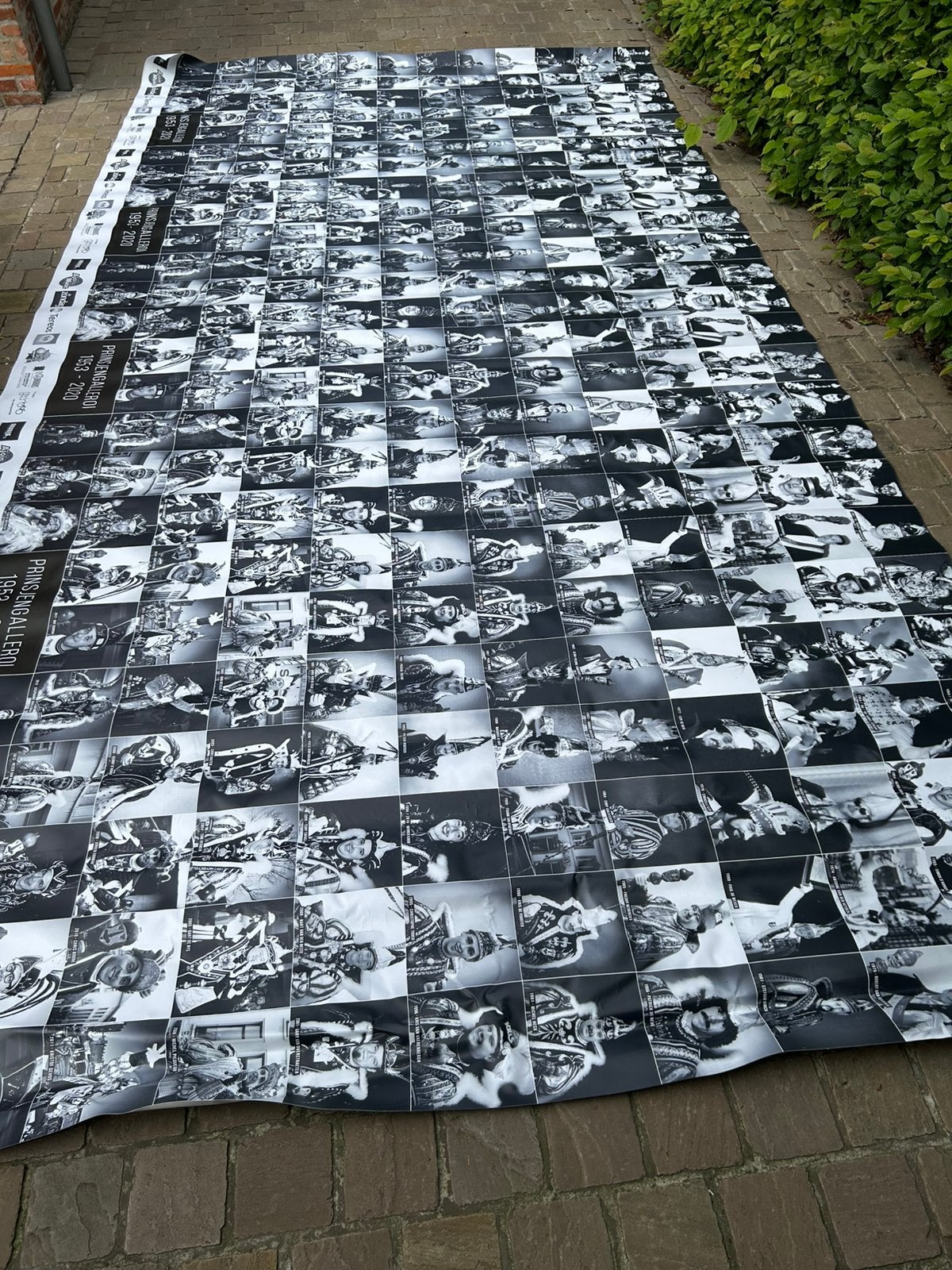 Aalst carnaval prinsen carnaval 1953-2020, Ophalen, Nieuw
