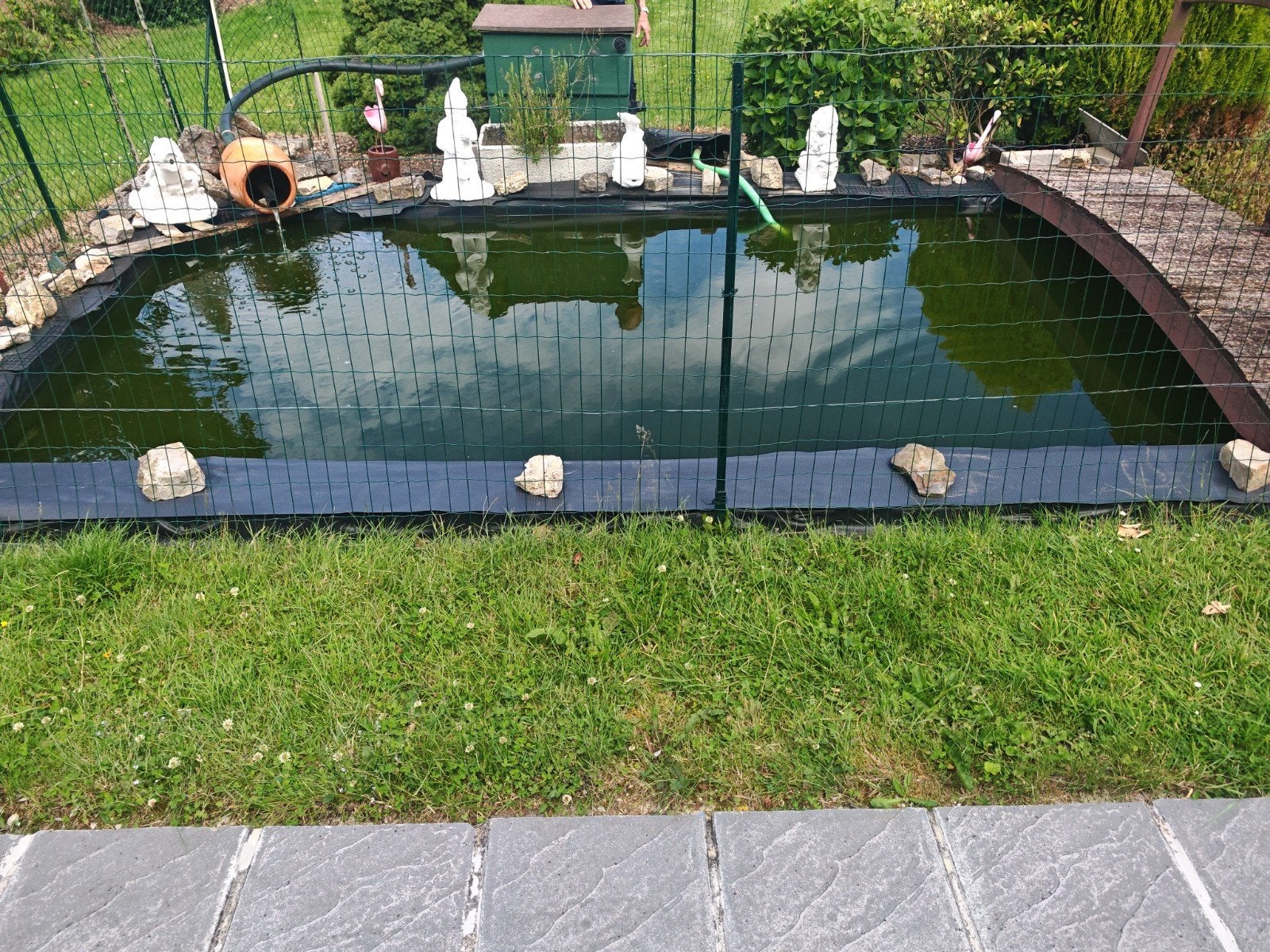 Etang complet