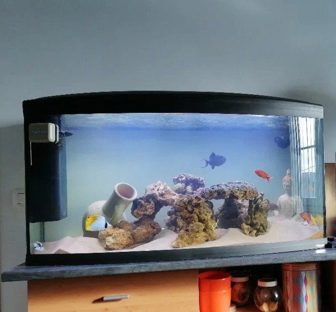 Aquarium 350 liter - Alles in 1, Ophalen, Inclusief deksel, Gebruikt