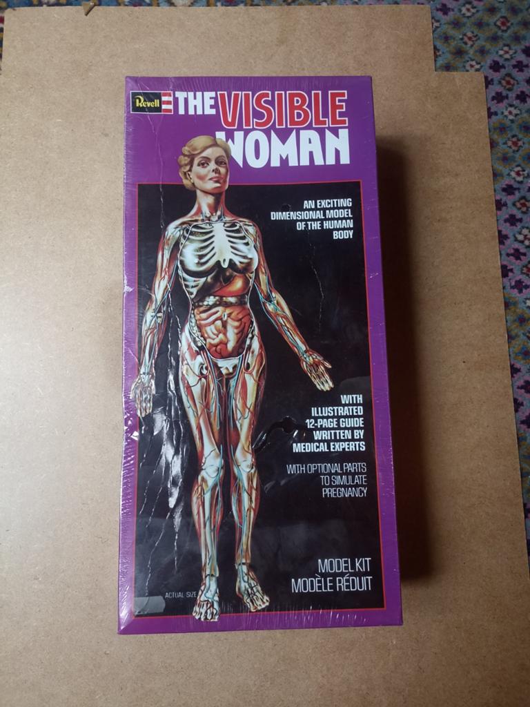 Vintage model van Revell - The Visible Woman (nieuw 1977), Hobby en Vrije tijd, Overige Hobby en Vrije tijd, Nieuw, Ophalen