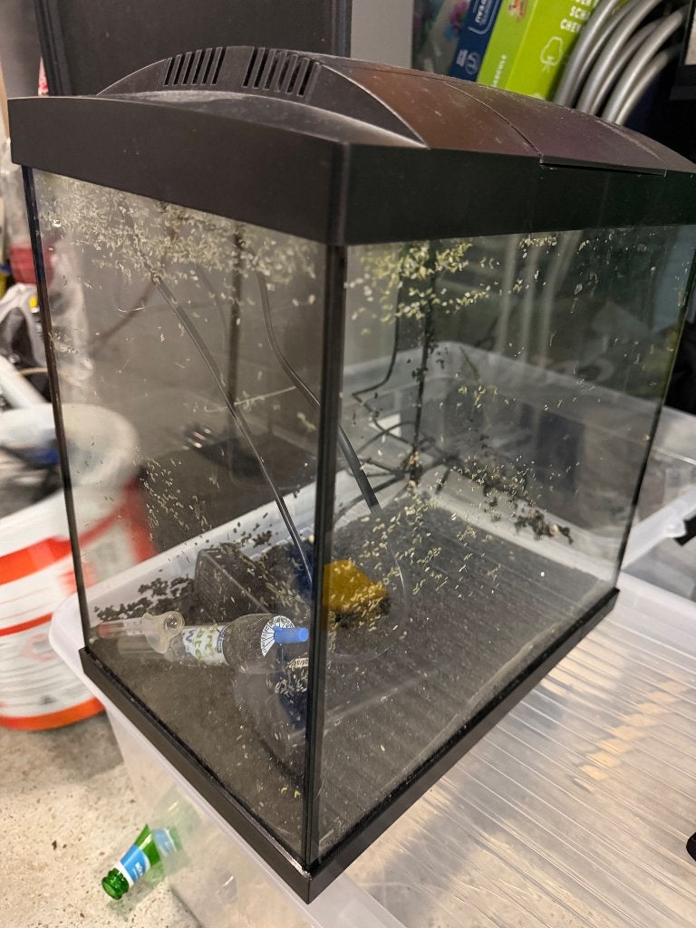 Aquarium in zeer goede staat, Antiek en Kunst, Ophalen